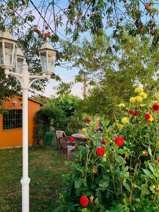 Vivienda Vacacional El Majo Pola de Siero Екстер'єр фото